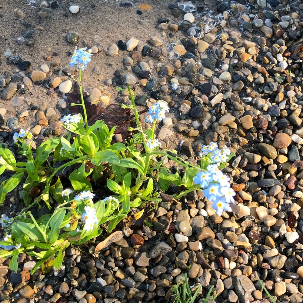 Meet your Posher, Janette